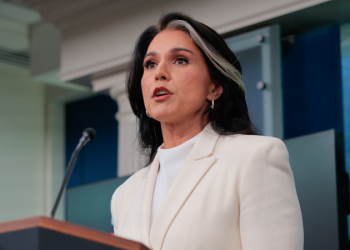 Tulsi Gabbard denies wrongdoing over delayed whistleblower complaint referral to Congress members: ‘Baseless’
