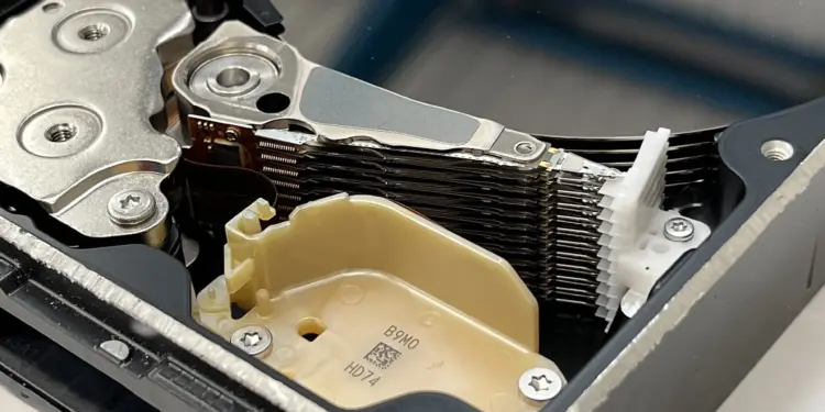 Western Digital (WDC) Stock Prediction: $725 Bull vs $290…
